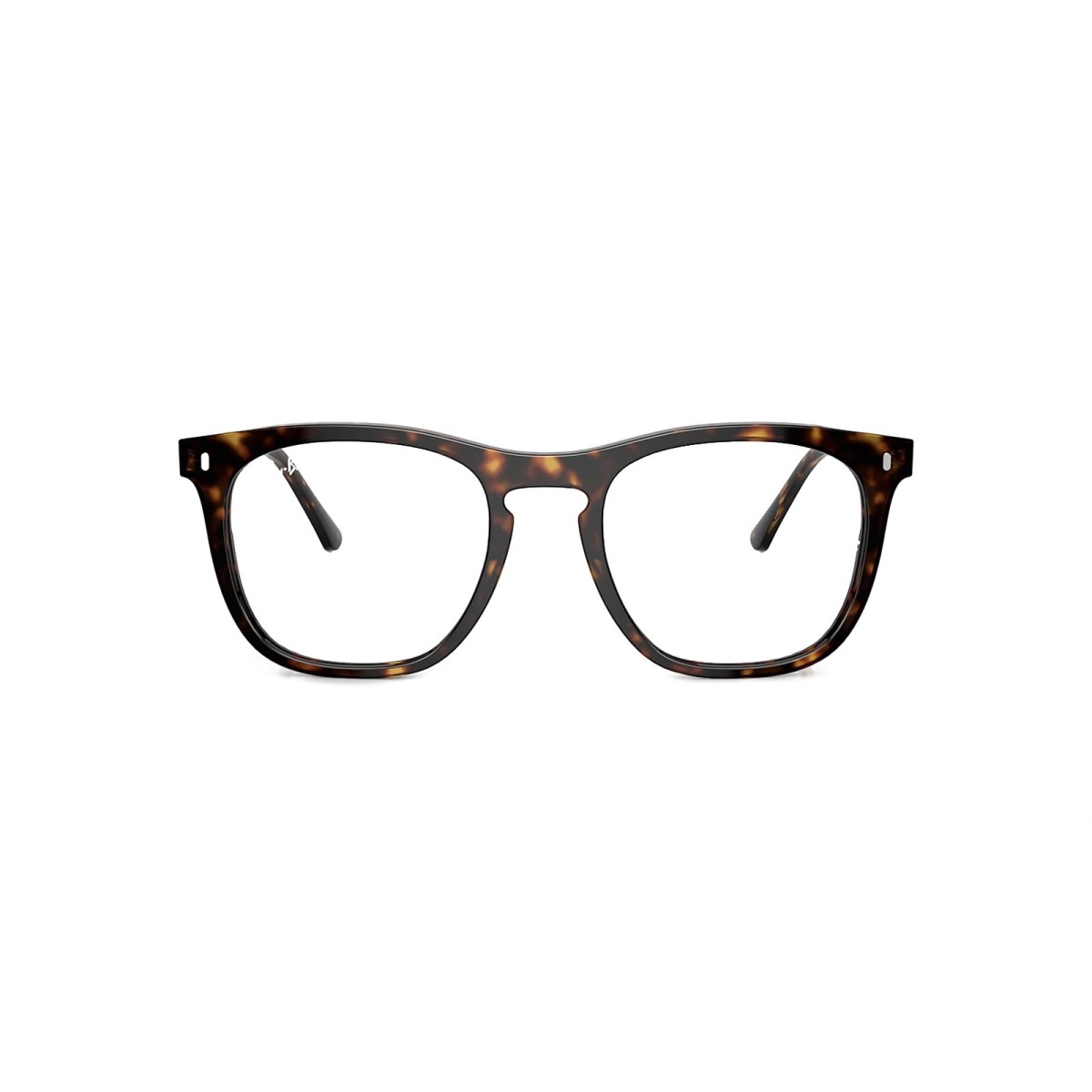 Ray Ban RB2210V 2012 | Square Optical | Vytria Eyewear