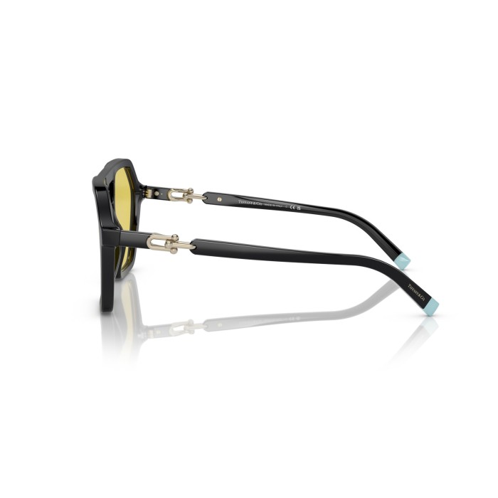 TIFFANY & CO. TF4198 800185