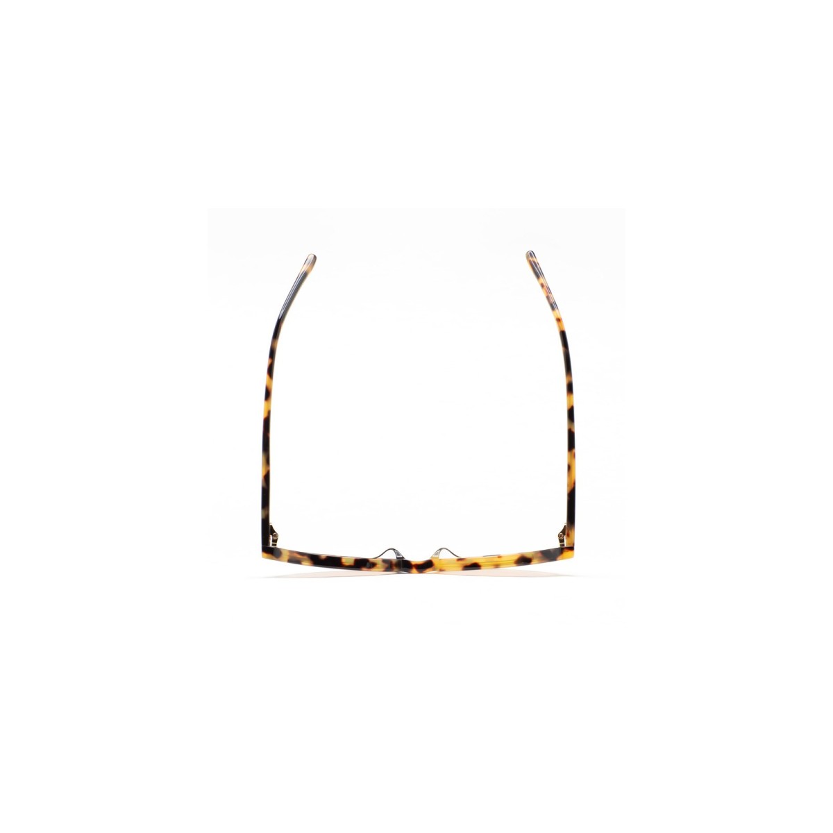 KALEOS BLESS 003 | Sunglasses | Vytria Eyewear
