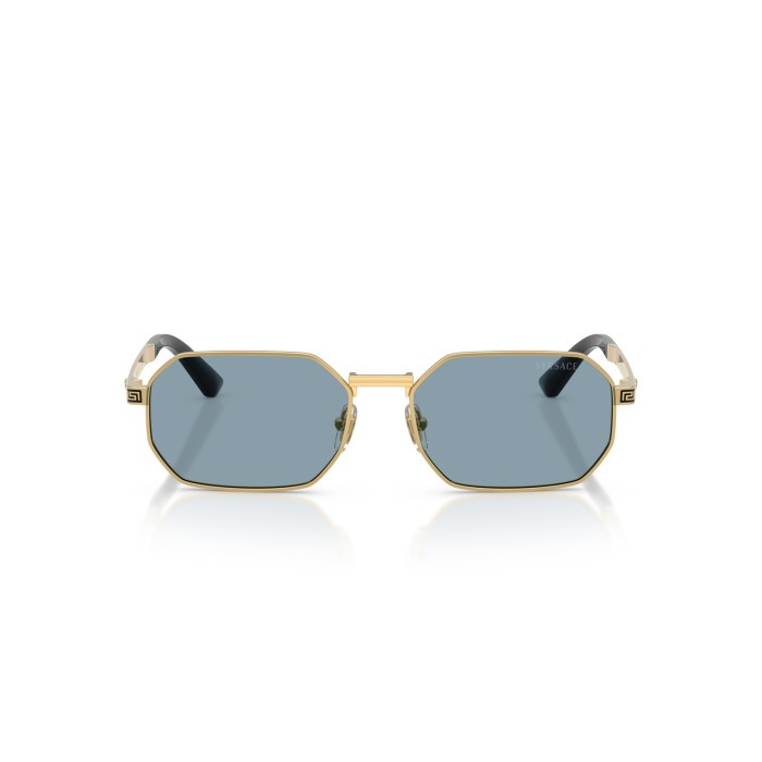 VERSACE VE2297 100280