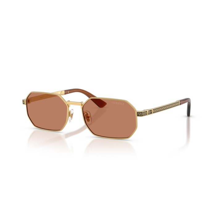 VERSACE VE2297 100273
