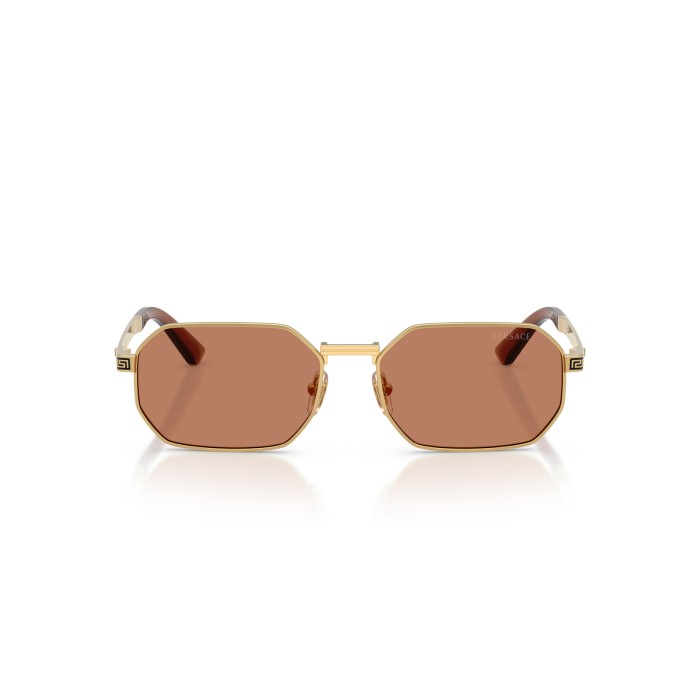 VERSACE VE2297 100273