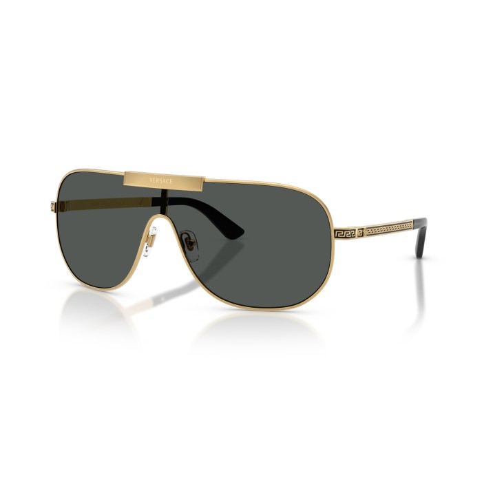 VERSACE VE2293 100287