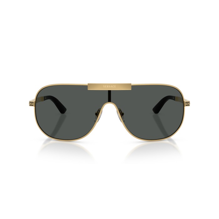 VERSACE VE2293 100287