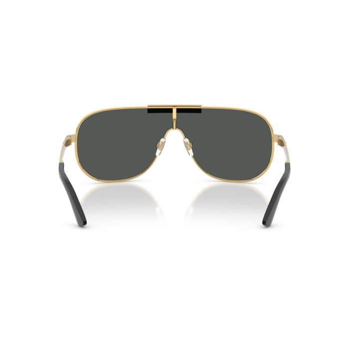 VERSACE VE2293 100287