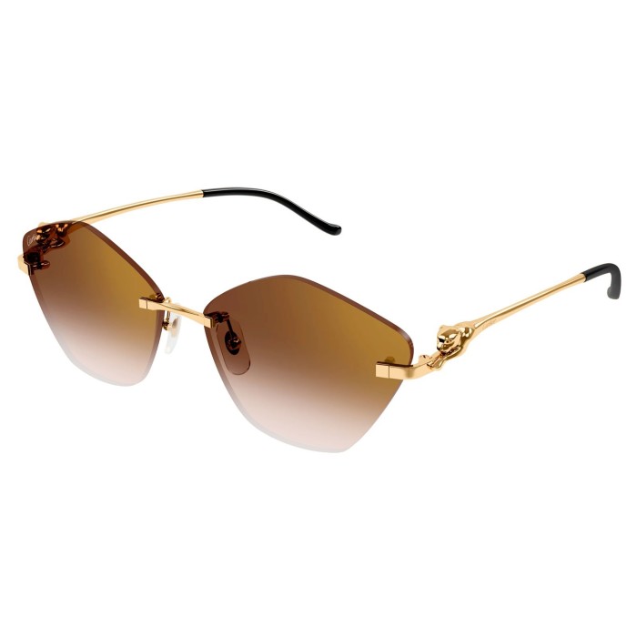CARTIER CT0429S 002 | Sunglasses | Vytria Eyewear
