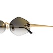 CARTIER CT0433S 001 | Sunglasses | Vytria Eyewear