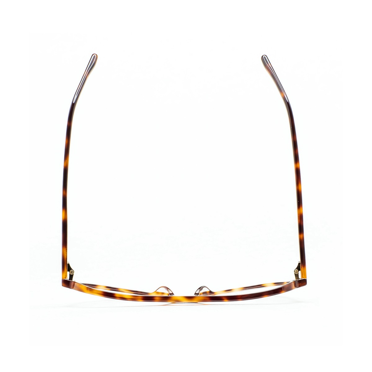 KALEOS LOMAX 002 | Monturas | Vytria Eyewear