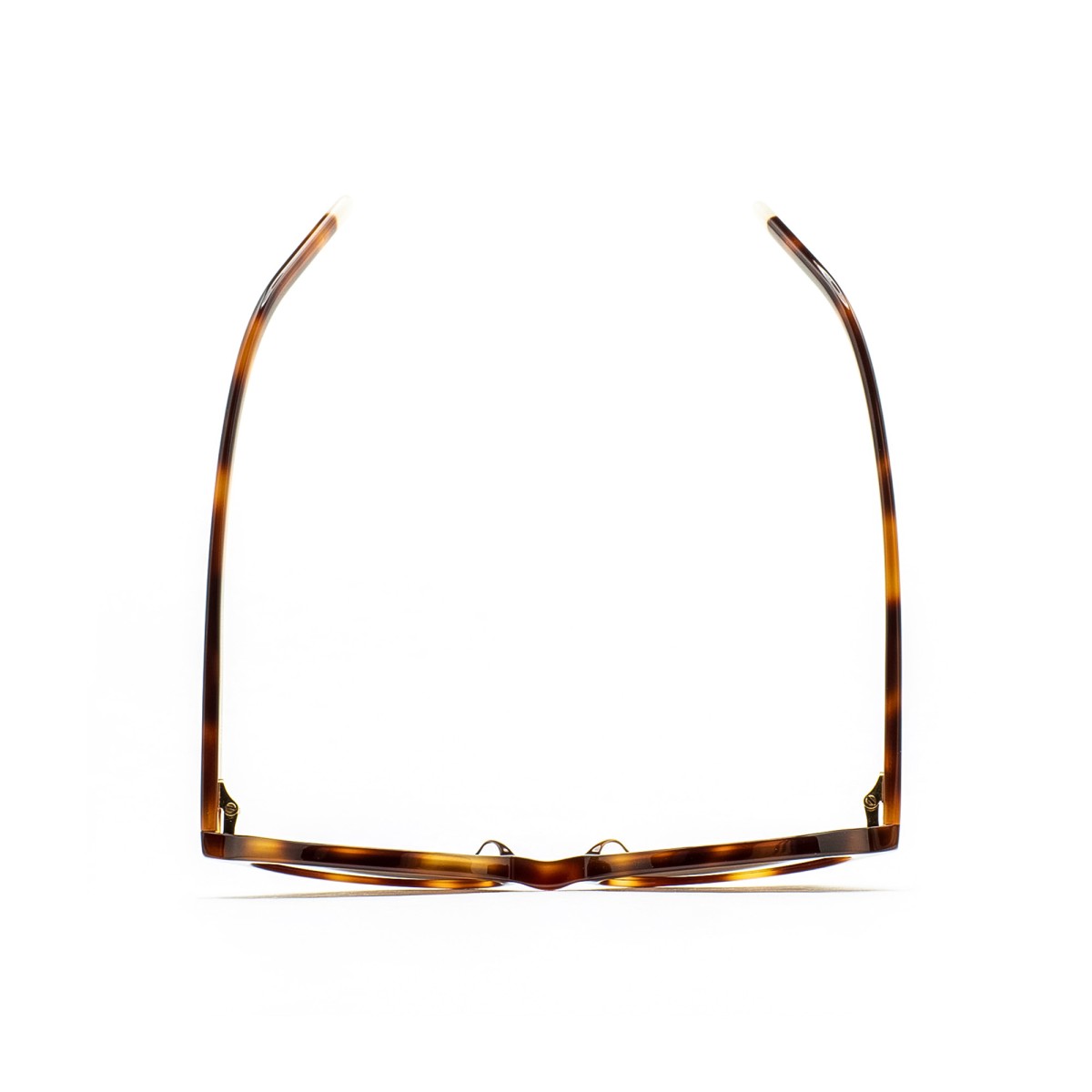 KALEOS KIARA 003 | Gafas de sol | Vytria Eyewear