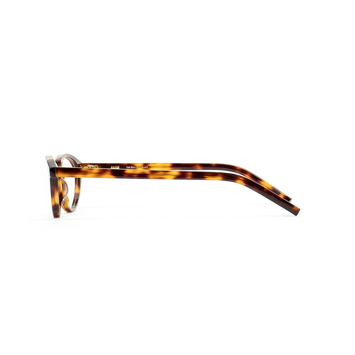 KALEOS BISSET 002 | Monturas | Vytria Eyewear