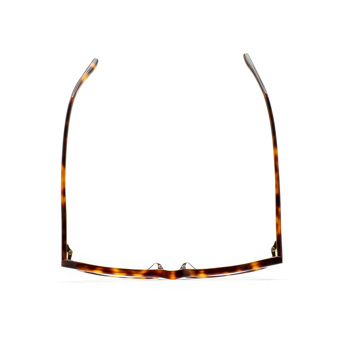 KALEOS BISSET 002 | Monturas | Vytria Eyewear