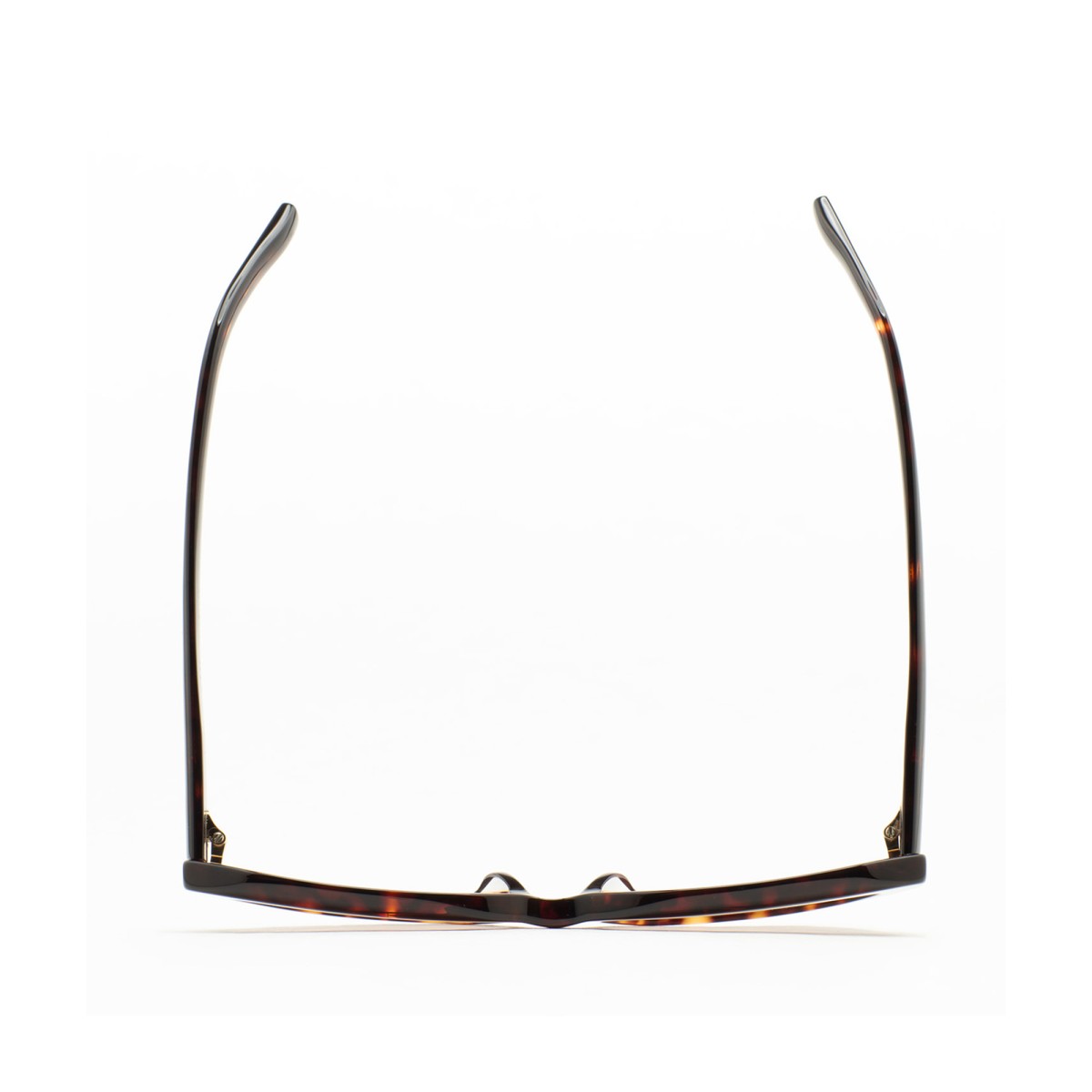 KALEOS BLUM 002 | Gafas de sol | Vytria Eyewear