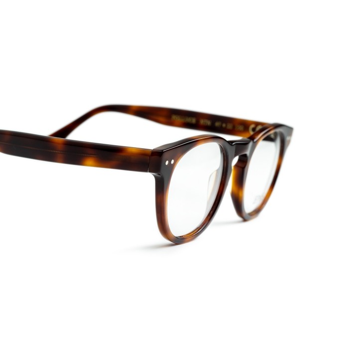 Polluce NTN Optical