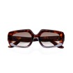 Joana Havana Gradient Sunglasses