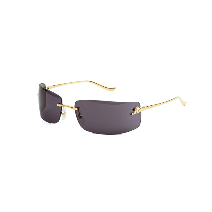CARTIER CT0503S 001 | Sunglasses | Vytria Eyewear