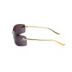CARTIER CT0503S 001 | Sunglasses | Vytria Eyewear