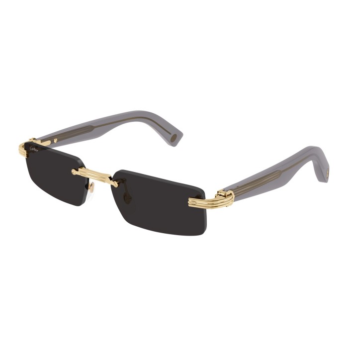 CARTIER CT0537S 001 | Sunglasses | Vytria Eyewear