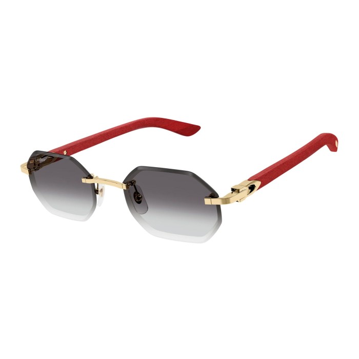 CARTIER CT0439S 003 | Sunglasses | Vytria Eyewear