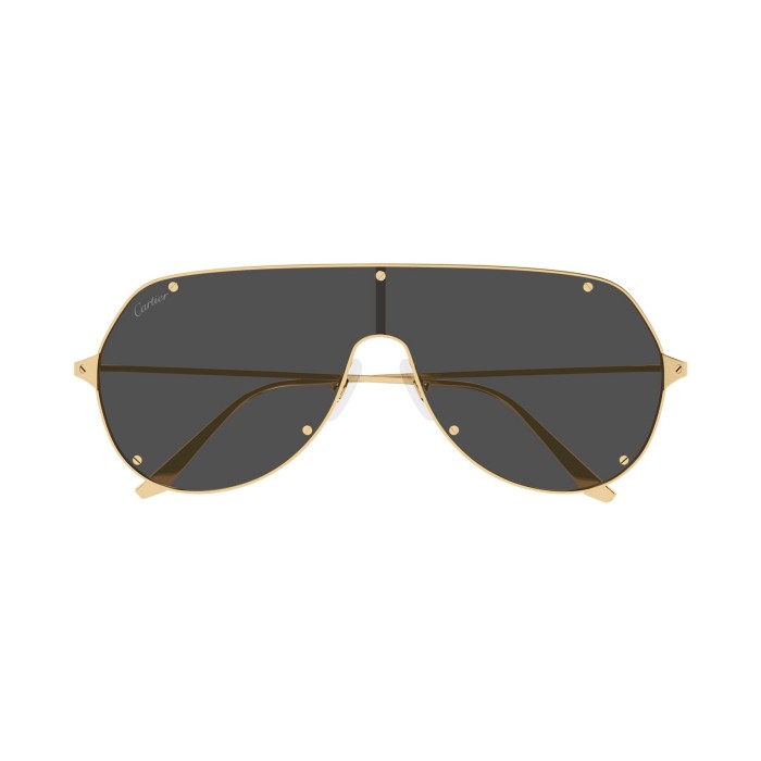 Cartier Santos Light CT0324S 001