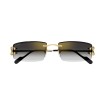 CARTIER CT0465S 001 | Gafas de sol | Vytria Eyewear