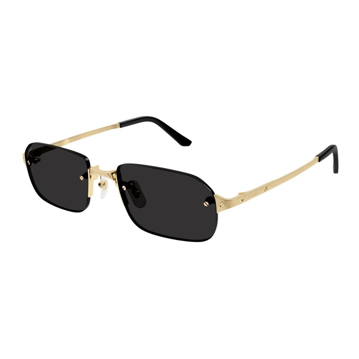 Cartier Santos Classic CT0460S 001