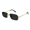Cartier Santos Classic CT0460S 001