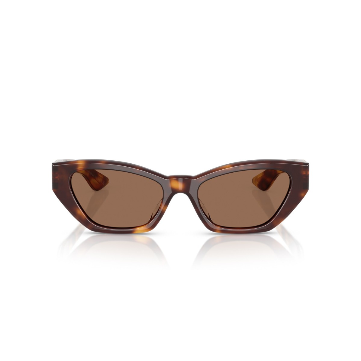 OLIVER PEOPLES 1961C OV5582SU 100773 | Gafas de sol | Vytria Eyewear