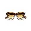 MOSCOT JARED SUN SPOT TORTOISE