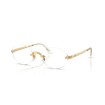 RAY BAN RB3929V 2500