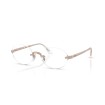 RAY BAN RB3929V 3207