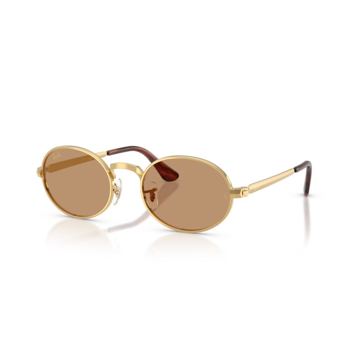 RAY BAN RB3931 00153 | Gafas de sol | Vytria Eyewear