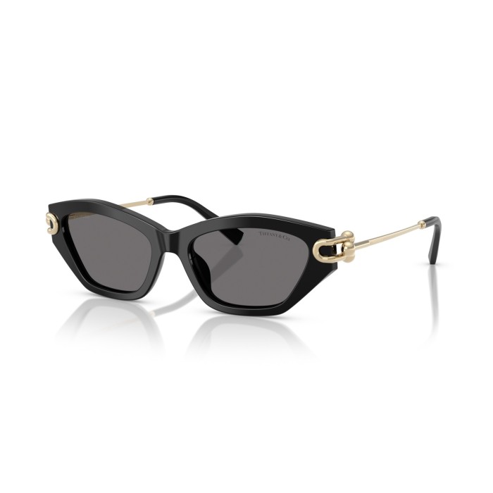 TIFFANY & CO. TF4231U 800181 | Sunglasses | Vytria Eyewear