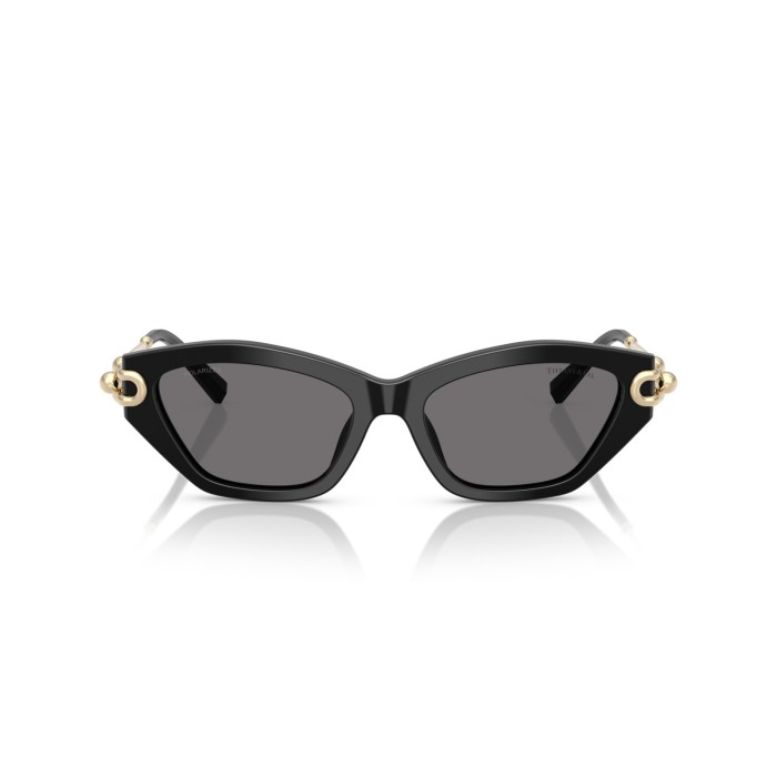 TIFFANY & CO. TF4231U 800181