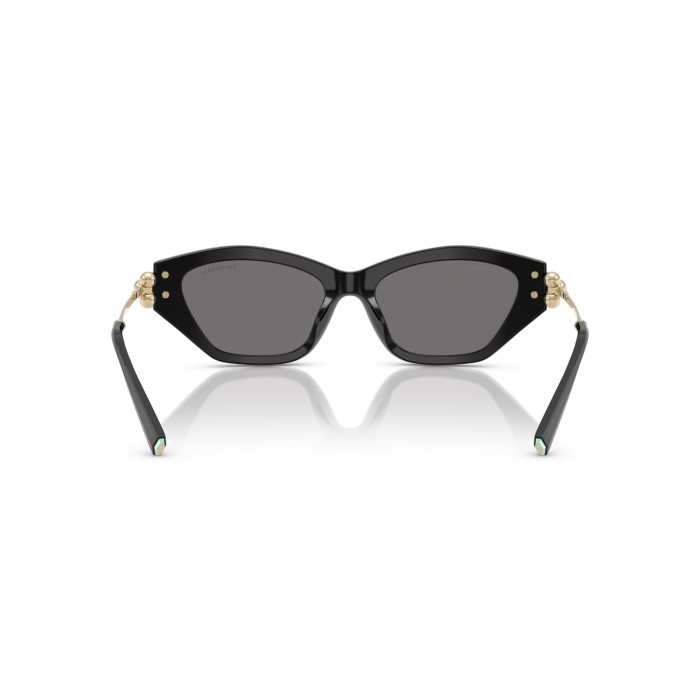 TIFFANY & CO. TF4231U 800181