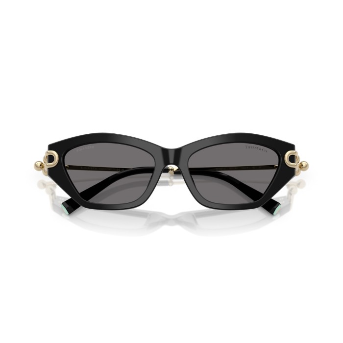 TIFFANY & CO. TF4231U 800181