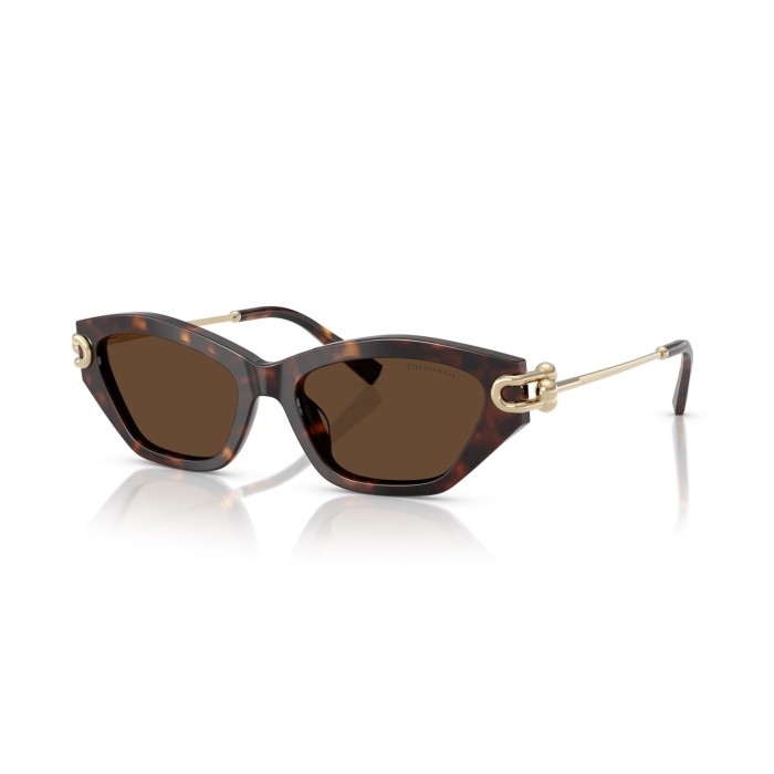 TIFFANY & CO. TF4231U 80153G
