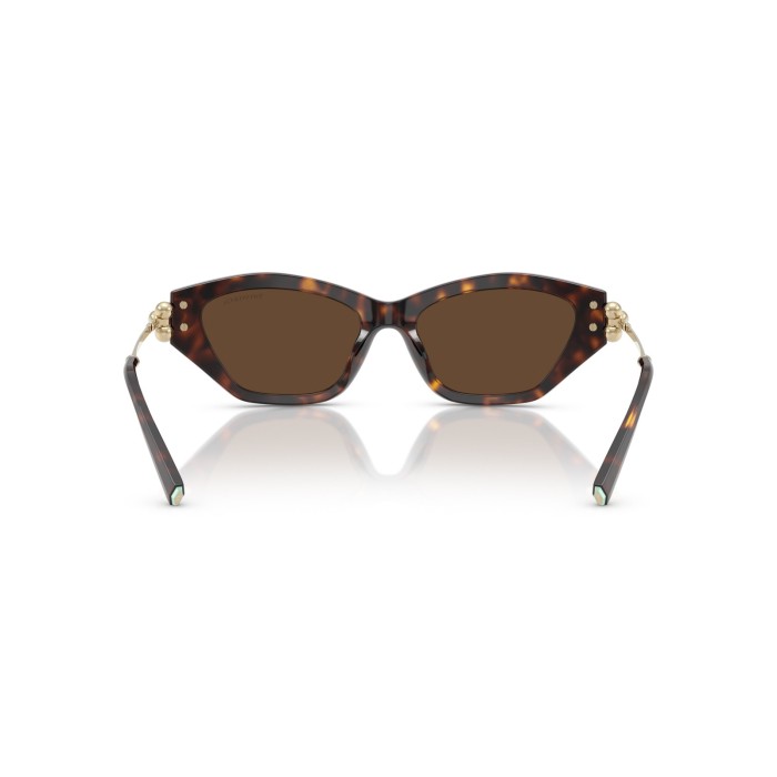 TIFFANY & CO. TF4231U 80153G