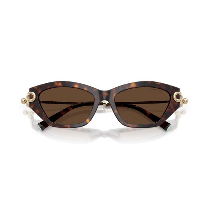 TIFFANY & CO. TF4231U 80153G