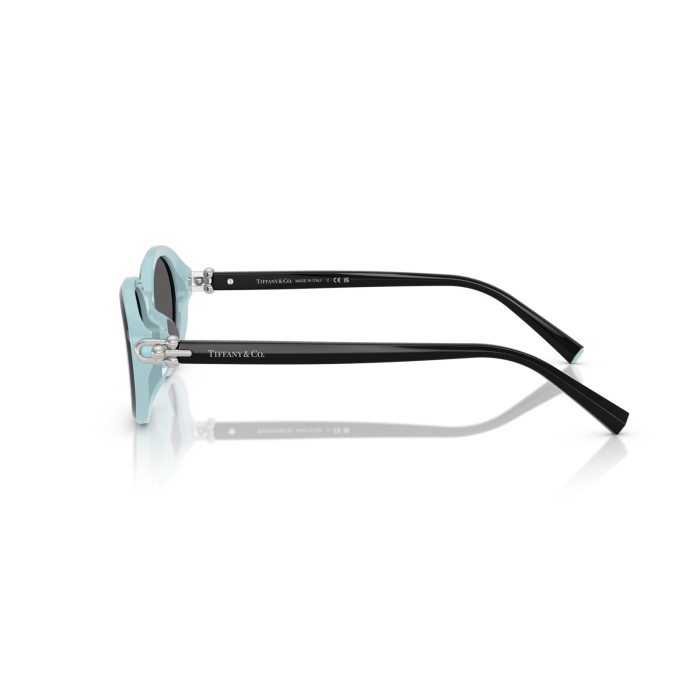 TIFFANY & CO. TF4242D 8055S4