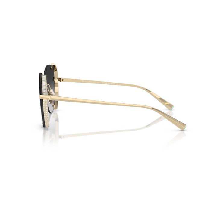 TIFFANY & CO. TF3110KB 62203C