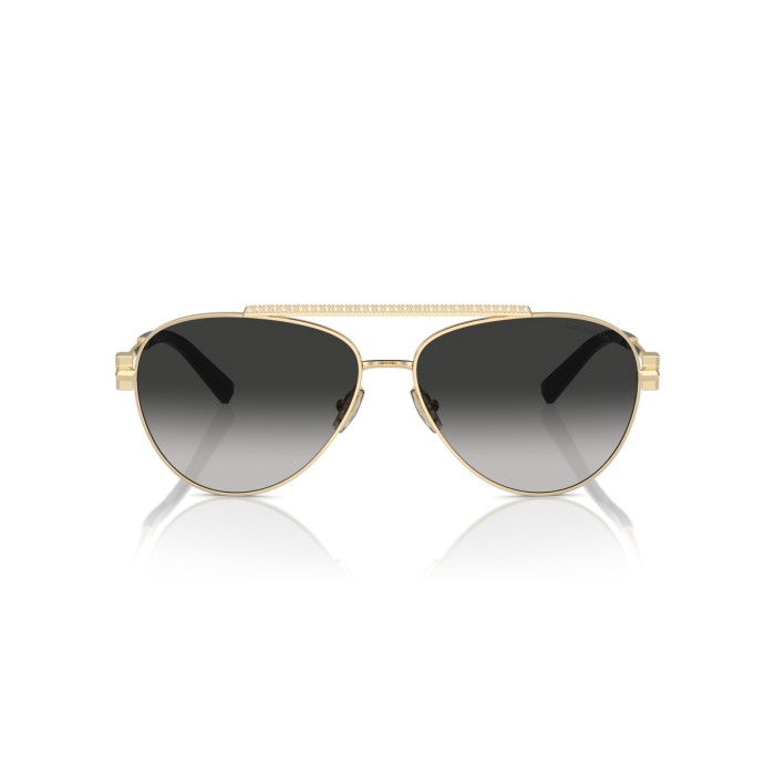 TIFFANY & CO. TF3101B 60213C