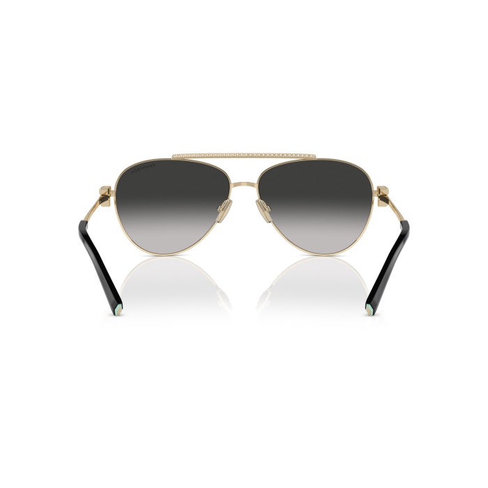 TIFFANY & CO. TF3101B 60213C
