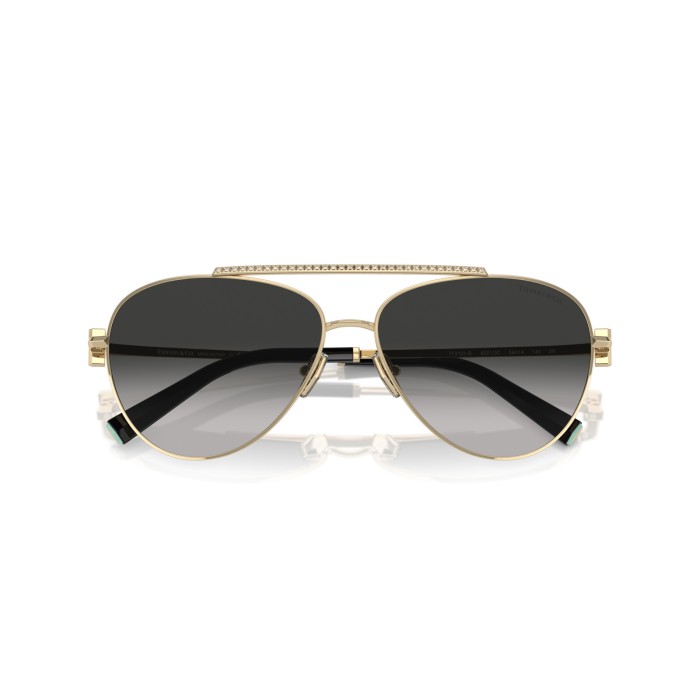 TIFFANY & CO. TF3101B 60213C