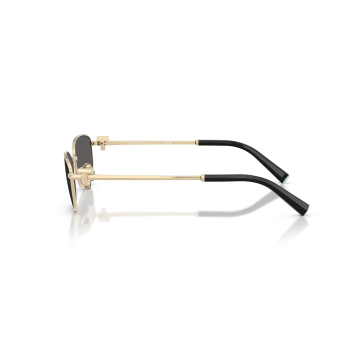 TIFFANY & CO. TF3115 6021S4