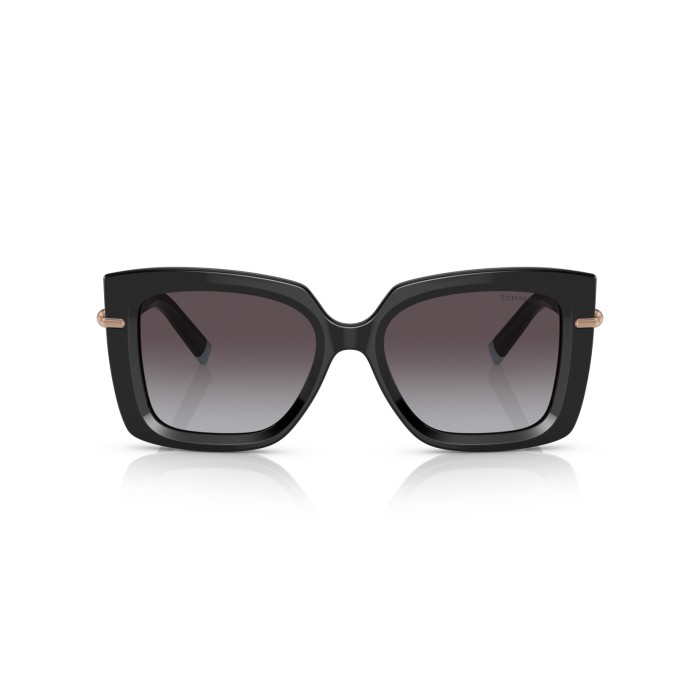 TIFFANY & CO. TF4199 80013C