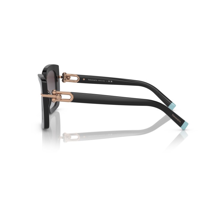 TIFFANY & CO. TF4199 80013C