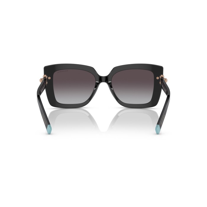 TIFFANY & CO. TF4199 80013C