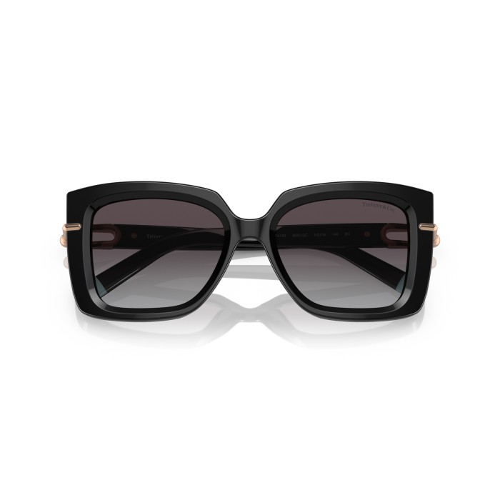 TIFFANY & CO. TF4199 80013C
