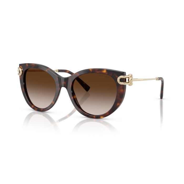 TIFFANY & CO. TF4232 80153B