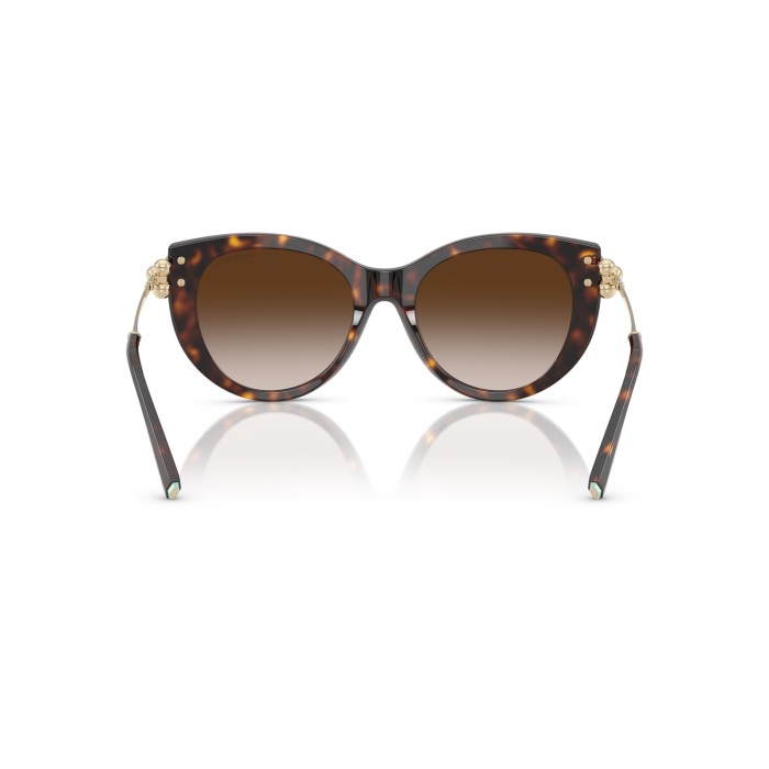 TIFFANY & CO. TF4232 80153B